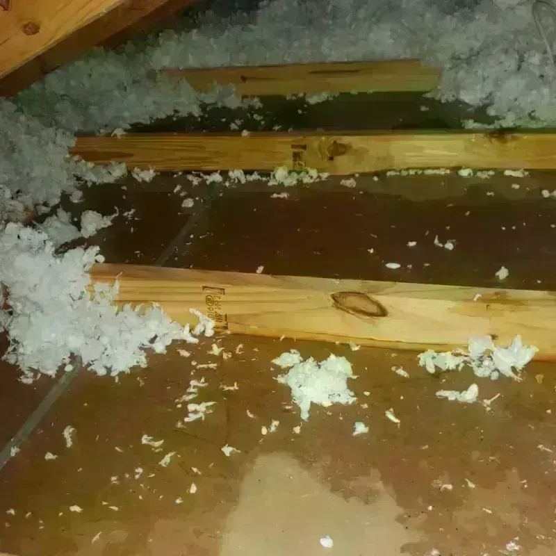 Attic Water Damage in Melbourne, AR