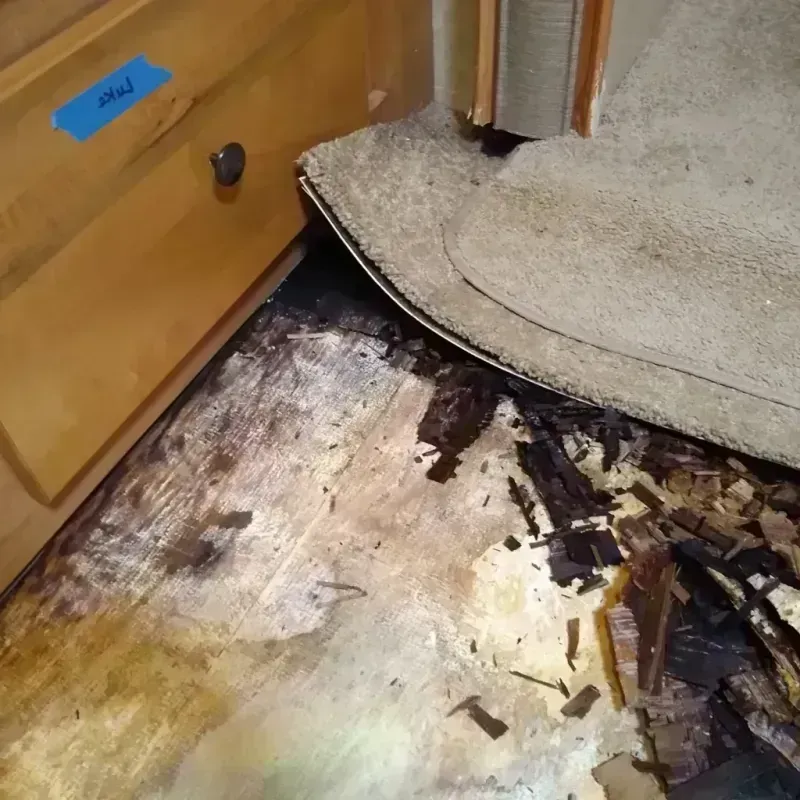 Wood Floor Water Damage in Melbourne, AR